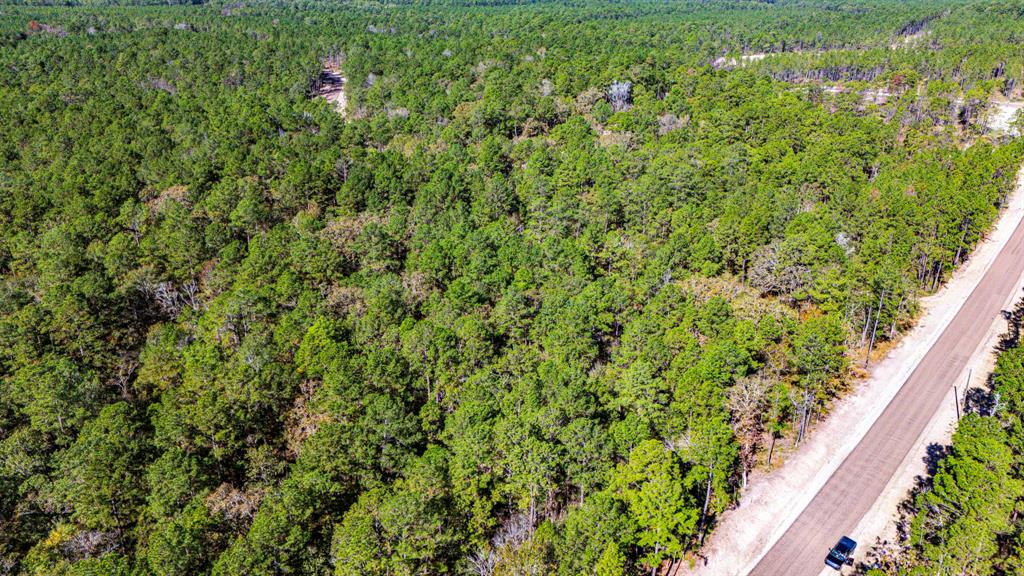 017 Magnolia Ranch Road, Onalaska, Texas image 9