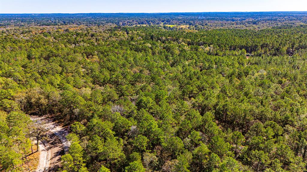 017 Magnolia Ranch Road, Onalaska, Texas image 13