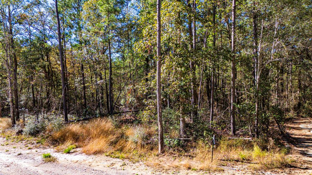 017 Magnolia Ranch Road, Onalaska, Texas image 6