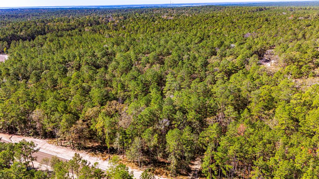 017 Magnolia Ranch Road, Onalaska, Texas image 8