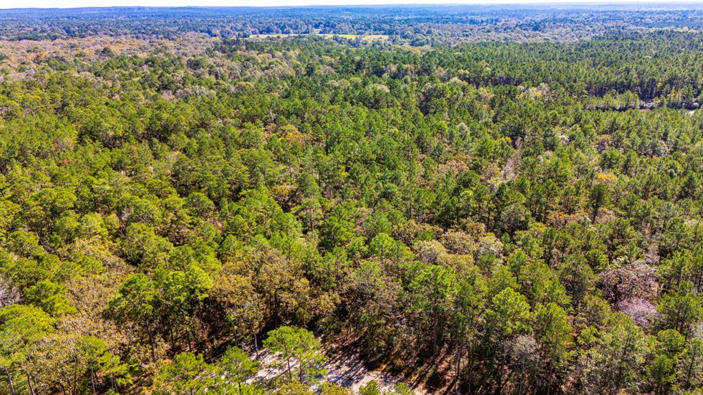 017 Magnolia Ranch Road, Onalaska, Texas image 11