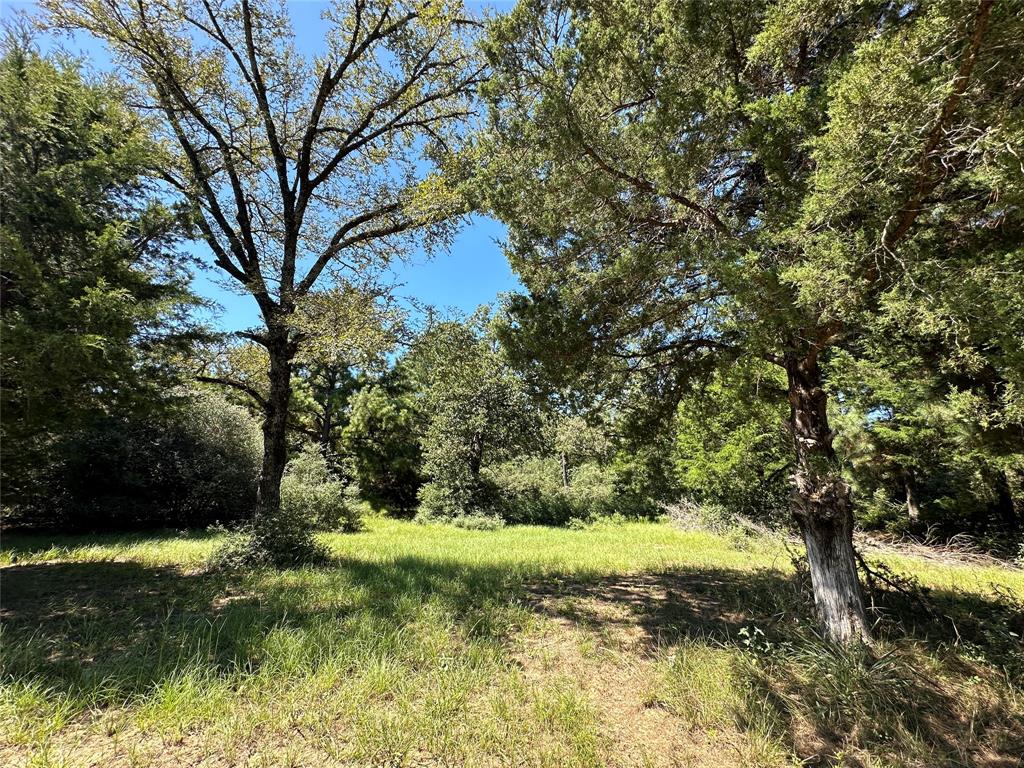 TBD TR 3 Cr 481, Centerville, Texas image 1