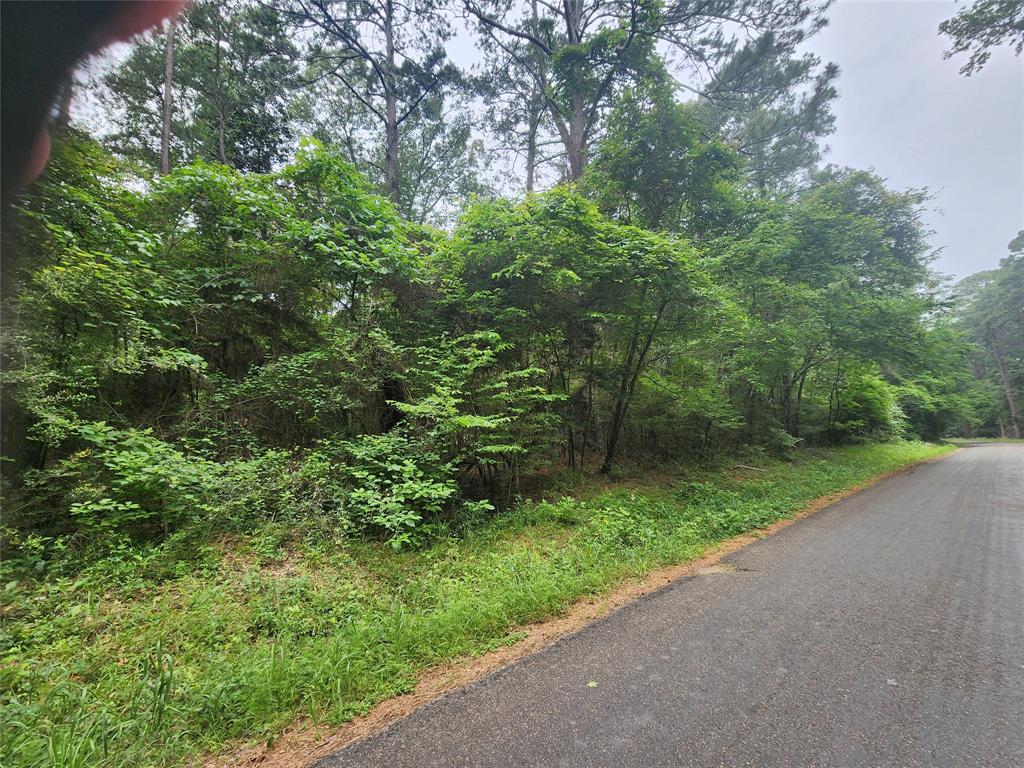 207 Long King, Livingston, Texas image 1