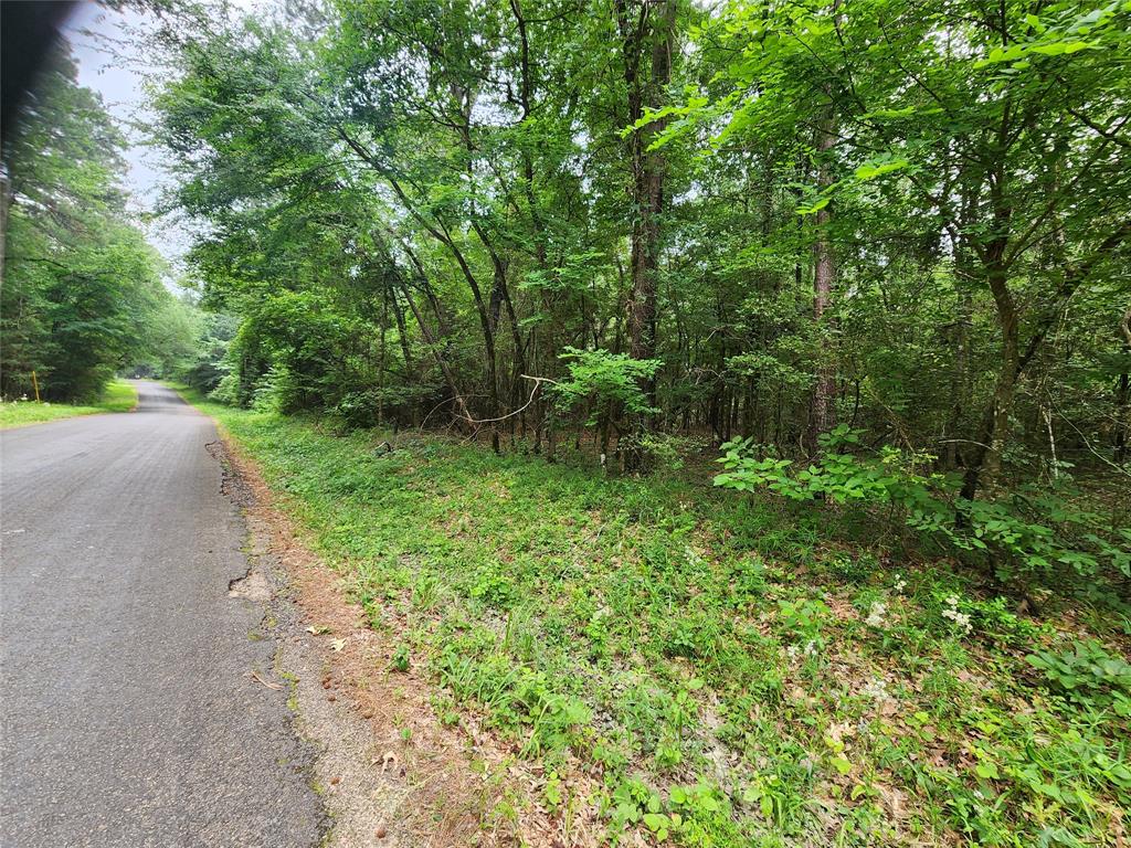 207 Long King, Livingston, Texas image 3