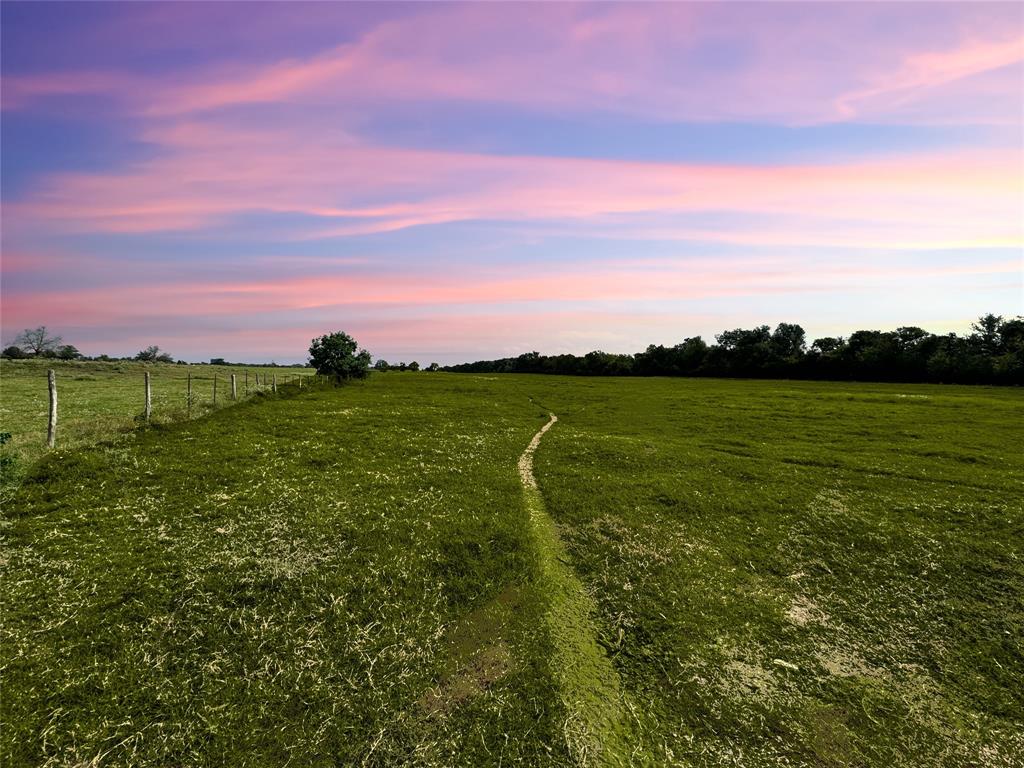 TBD State Highway 21, Madisonville, Texas image 5