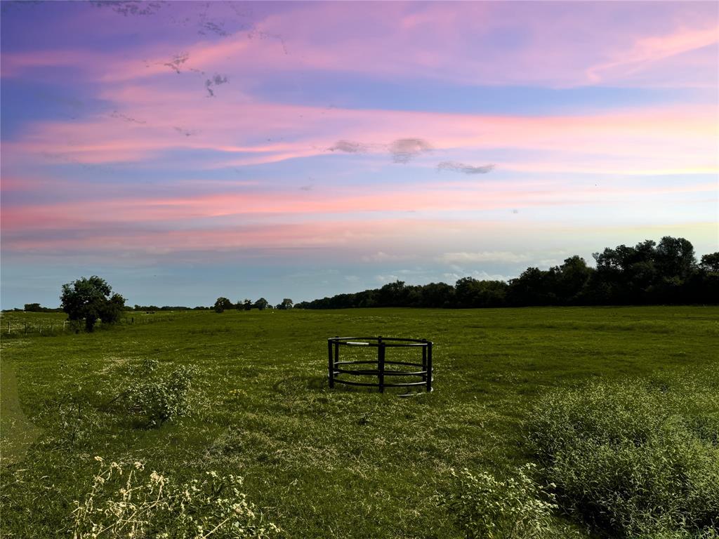 TBD State Highway 21, Madisonville, Texas image 4