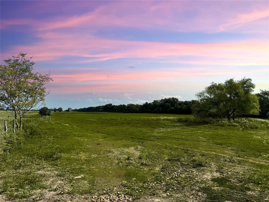 TBD State Highway 21, Madisonville, Texas image 2