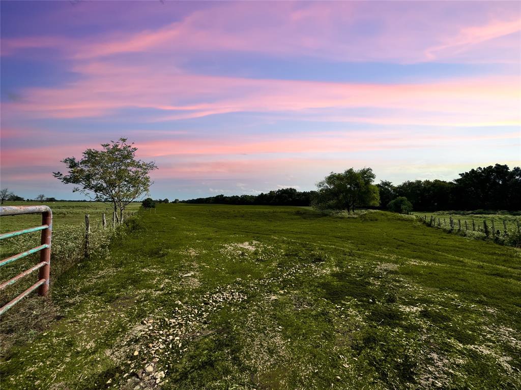 TBD State Highway 21, Madisonville, Texas image 3