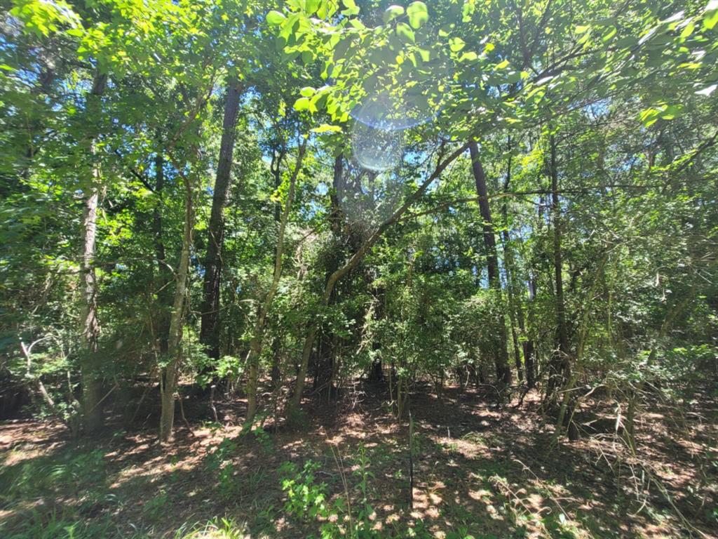 0 Chestnut Drive