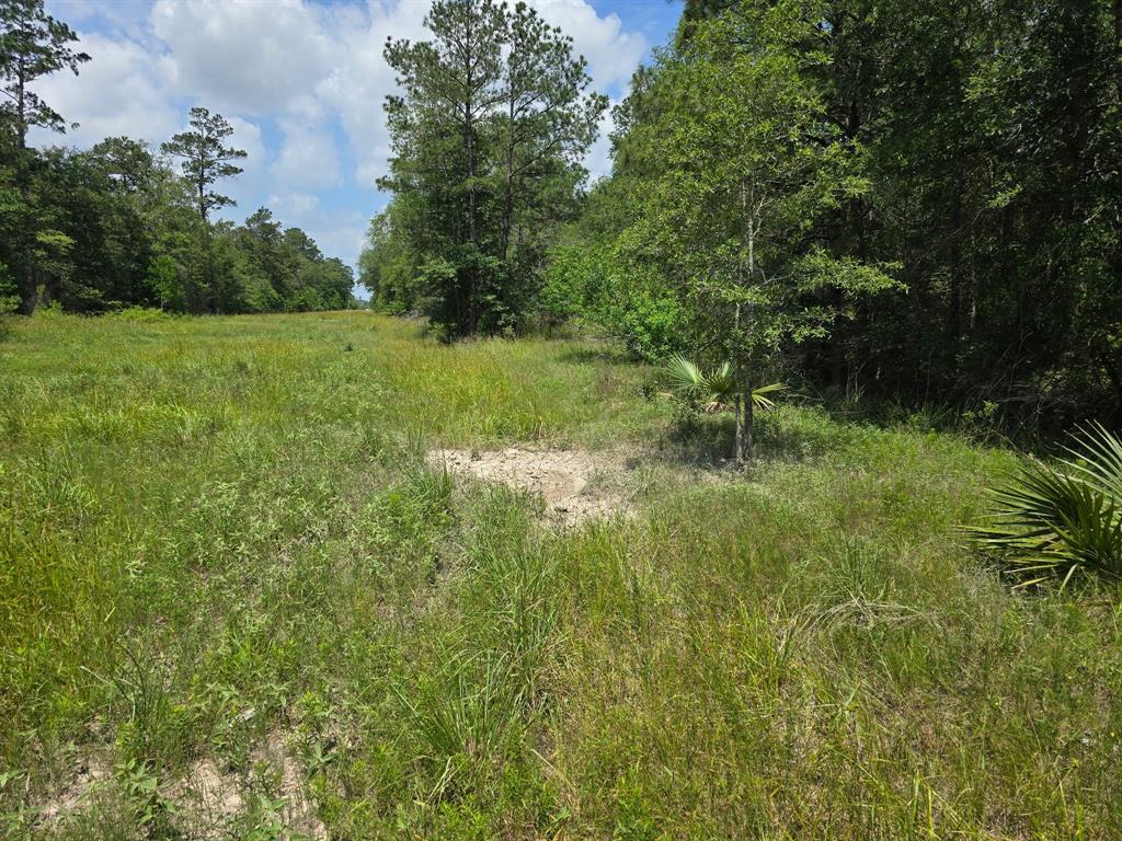 Broadway Ave, Conroe, Texas image 8