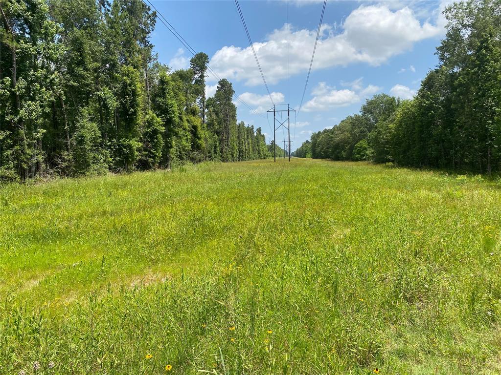 Broadway Ave, Conroe, Texas image 6
