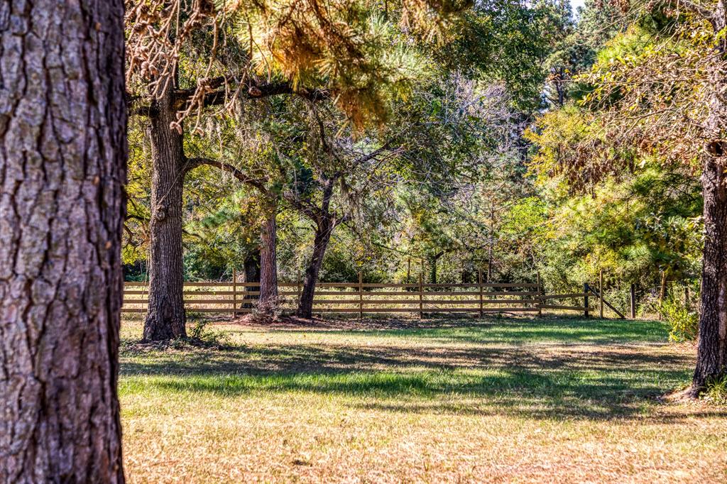 28383 Melanie Lane, Hockley, Texas image 31