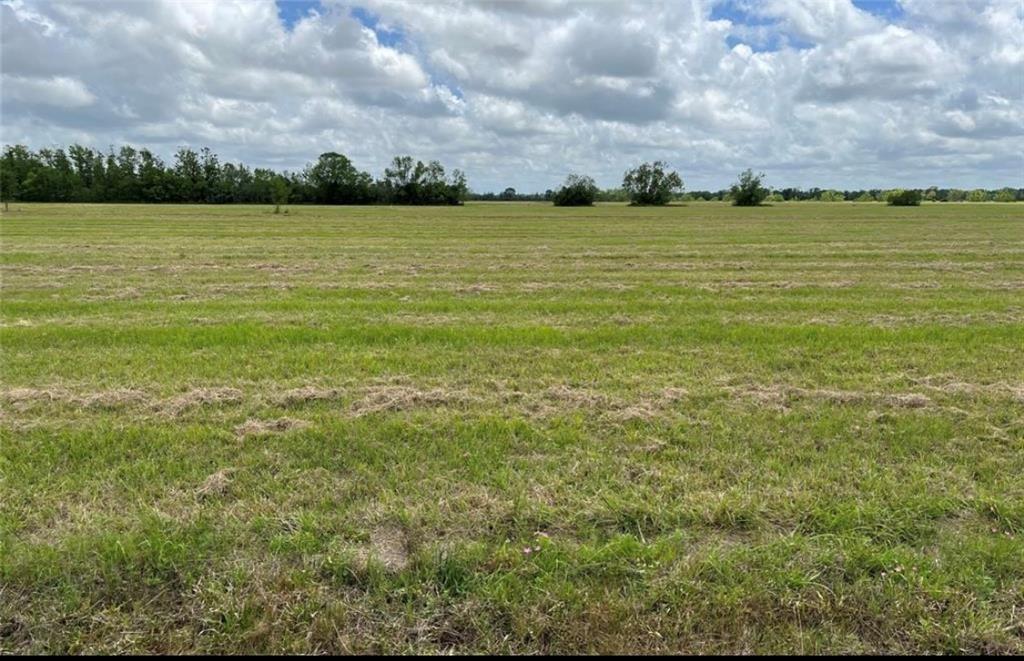 48 Brahman Trail, Angleton, Texas image 2