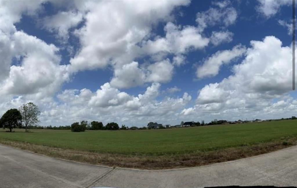48 Brahman Trail, Angleton, Texas image 3