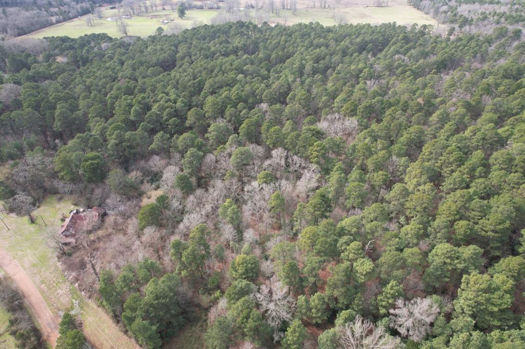 TBD County Road 3156, Henderson, Texas image 1