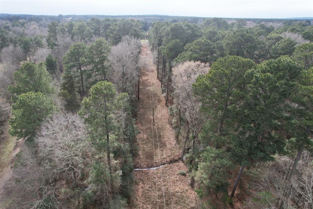 TBD County Road 3156, Henderson, Texas image 4