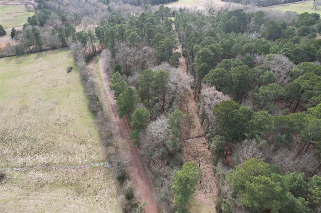 TBD County Road 3156, Henderson, Texas image 3