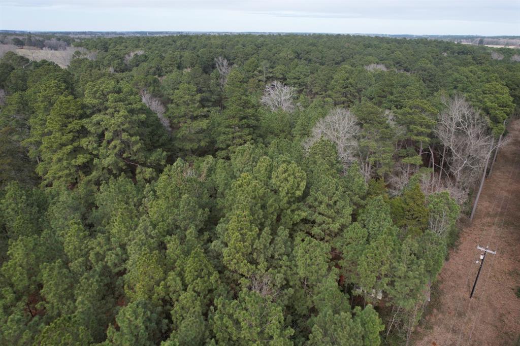 TBD County Road 3156, Henderson, Texas image 6