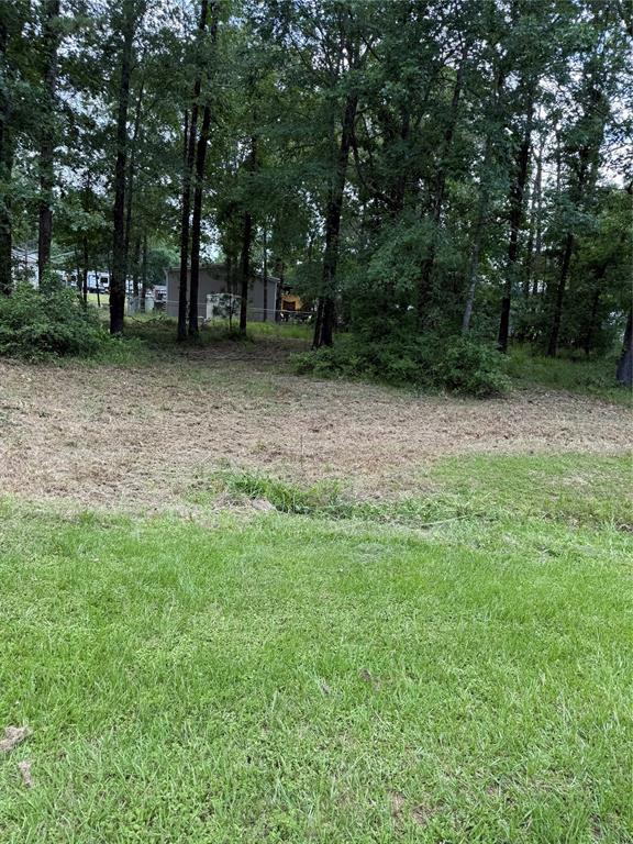 Hidden Oak Drive, Coldspring, Texas image 3
