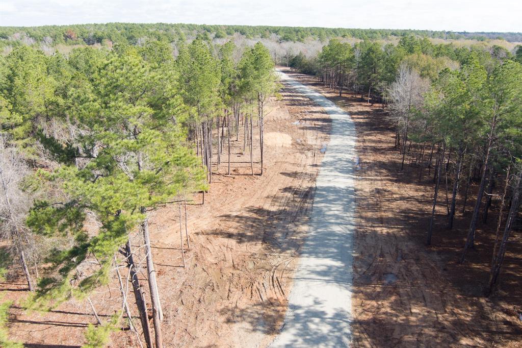 00 Cherokee Trail, Lovelady, Texas image 6