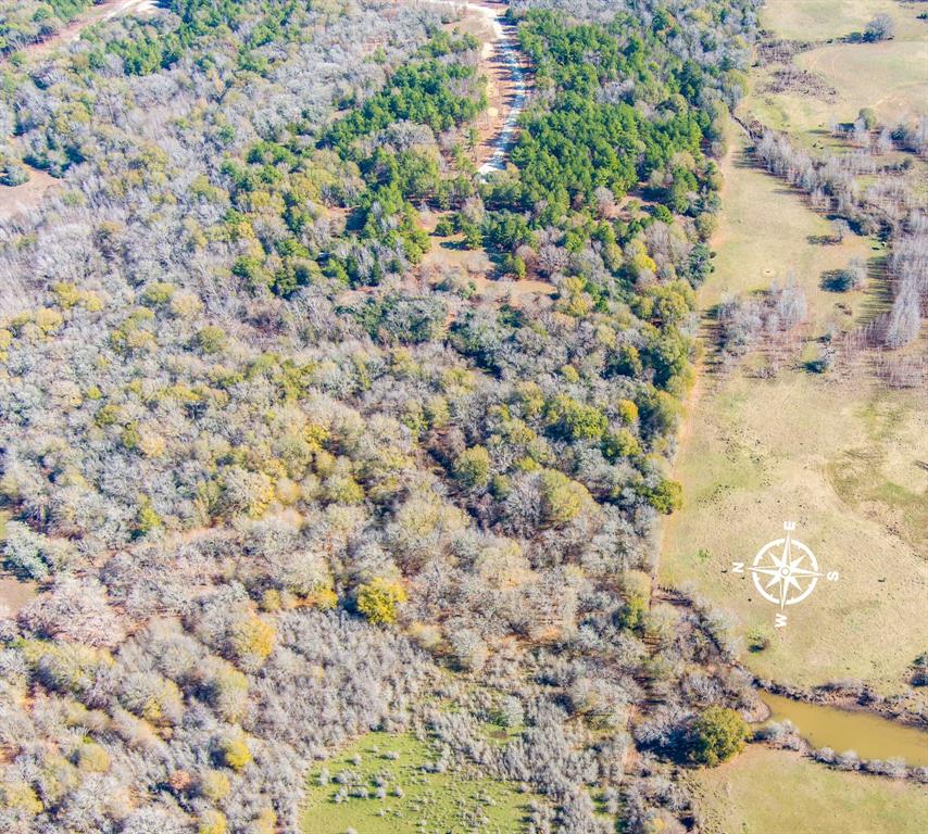 00 Cherokee Trail, Lovelady, Texas image 9