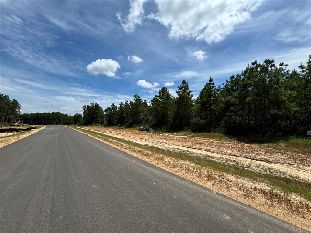 15925 Ridge Oak Road, Willis, Texas image 8