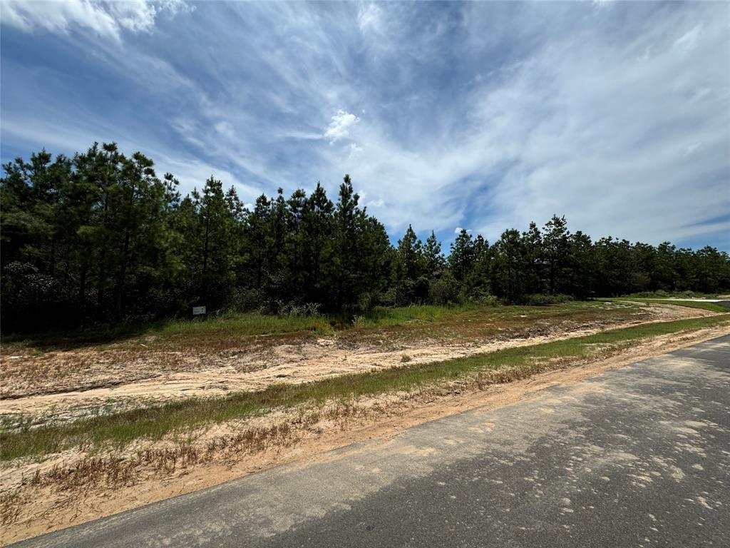 15925 Ridge Oak Road, Willis, Texas image 7