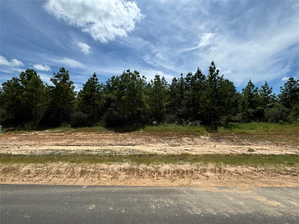 15925 Ridge Oak Road, Willis, Texas image 9