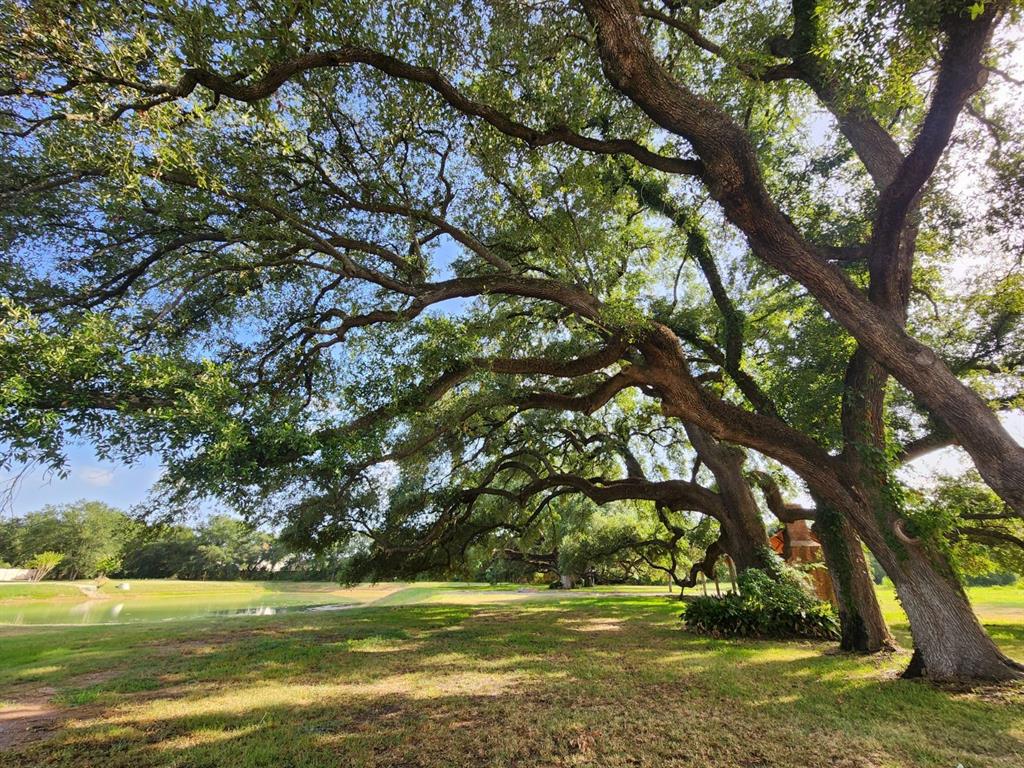 21803 Red Oak View Court, Tomball, Texas image 2