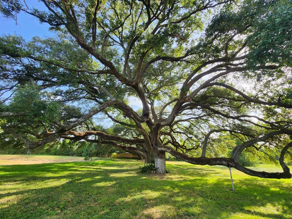 21803 Red Oak View Court, Tomball, Texas image 1