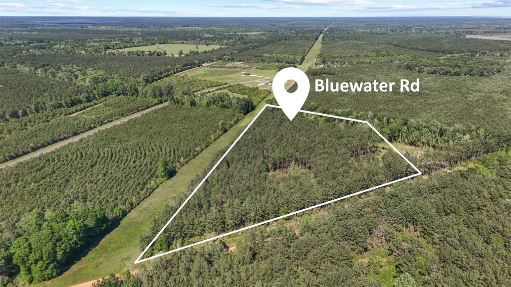 Tbd Bluewater Road, Livingston, Texas image 12