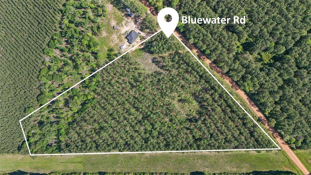 Tbd Bluewater Road, Livingston, Texas image 13