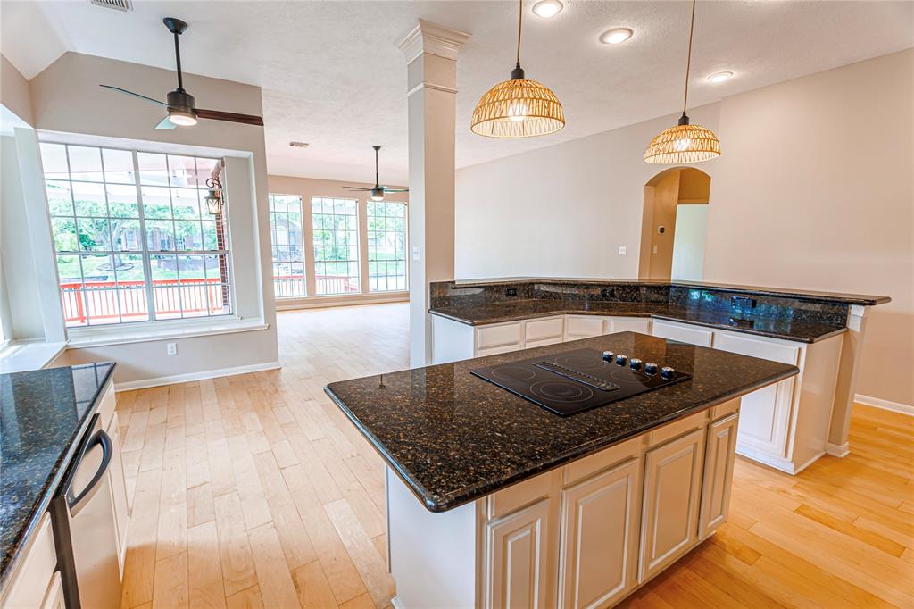 1243 Spinnaker Way, Sugar Land, Texas image 15