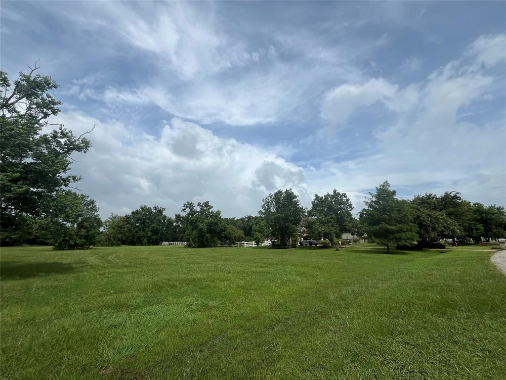 6703 Rustling Oaks Drive, Rosenberg, Texas image 2