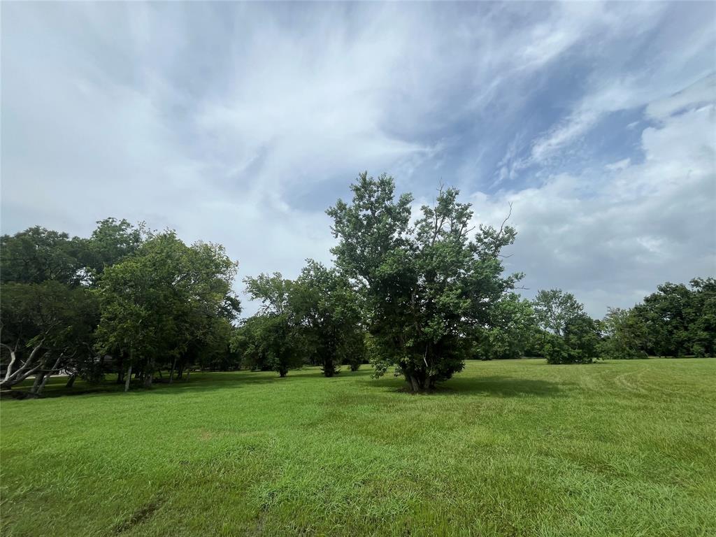 6703 Rustling Oaks Drive, Rosenberg, Texas image 4