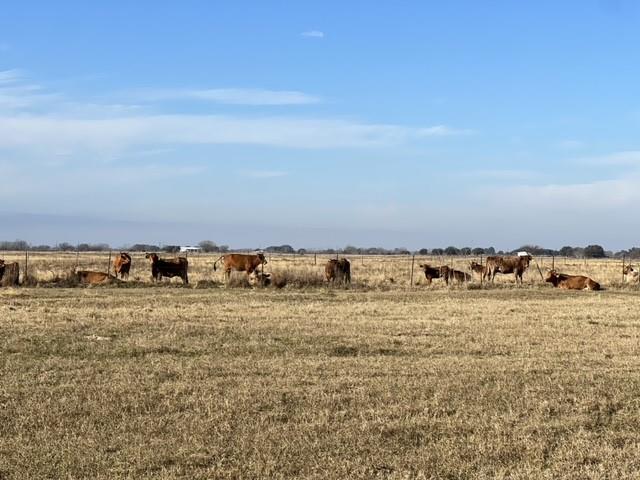 001 Cr 471, El Campo, Texas image 3