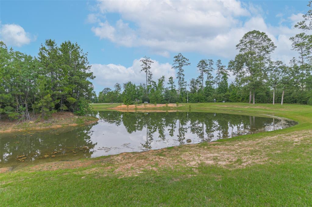 15 Waterfall Way, The Woodlands, Georgia image 38