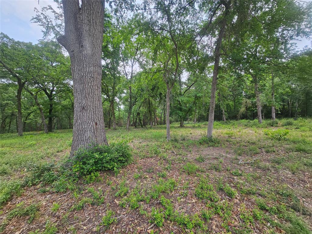 1313 Pr 1313, Centerville, Texas image 14