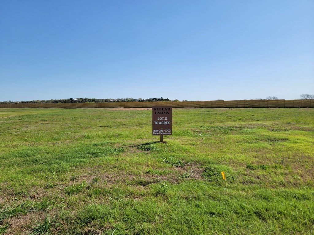 Lot 11 Hydrangea Drive, Smithville, Texas image 1