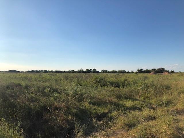 3046 County Road 356, Louise, Texas image 5