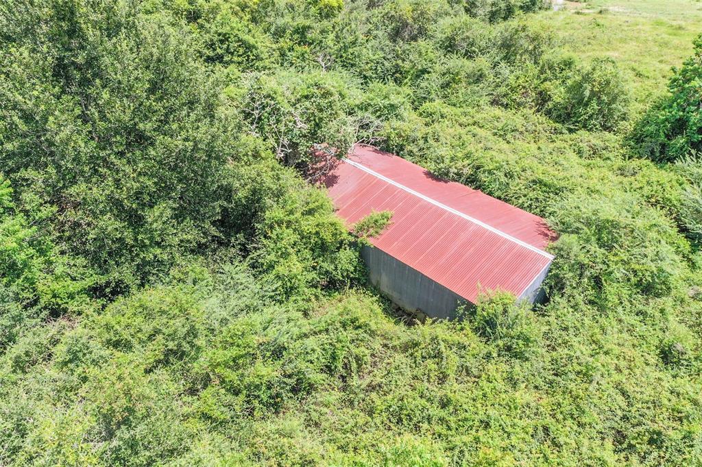 Bois D Arc Lane, Fulshear, Texas image 8