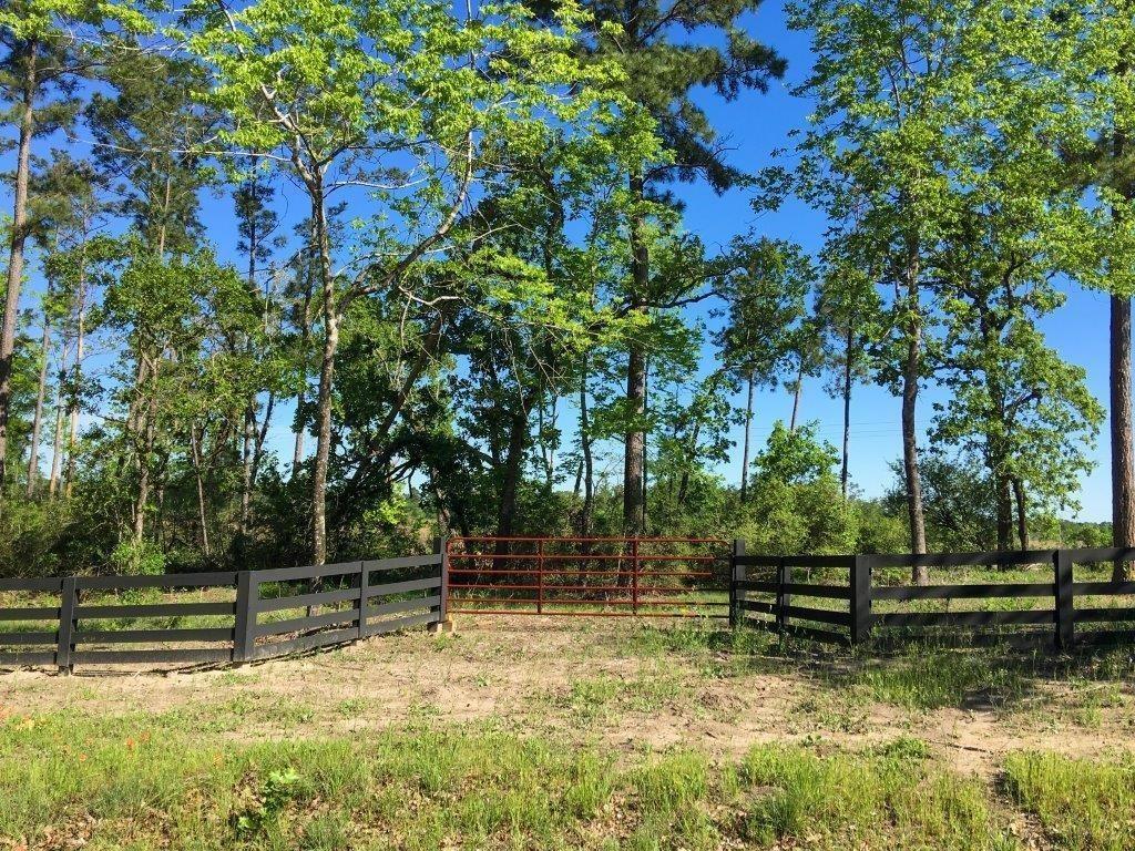 0000 Old Sign Road, Huntsville, Texas image 6