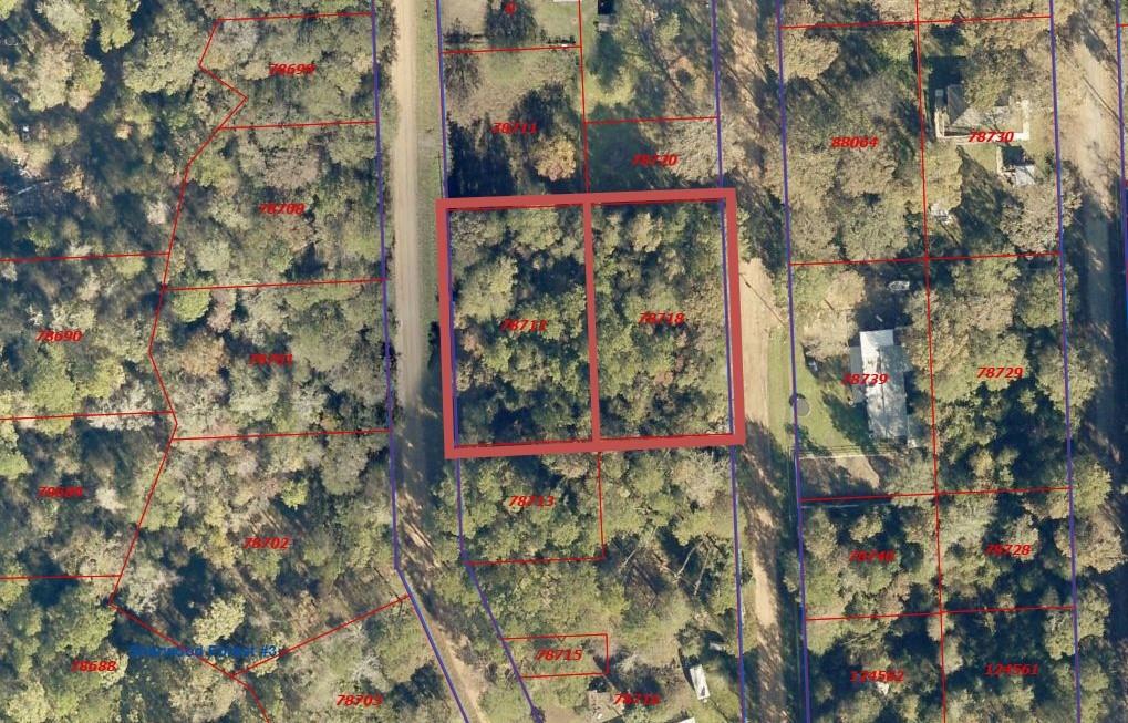 LOT 8 Dogwood Lane, Shepherd, Texas image 3