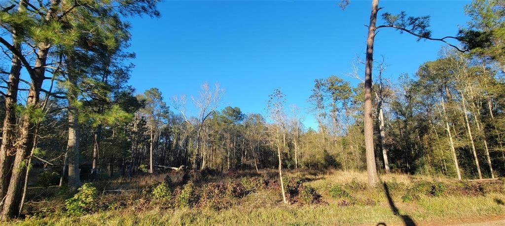 Photo of 3411 Roman Forest Blvd Blvd, New Caney, TX 77365 (MLS # 83648645)