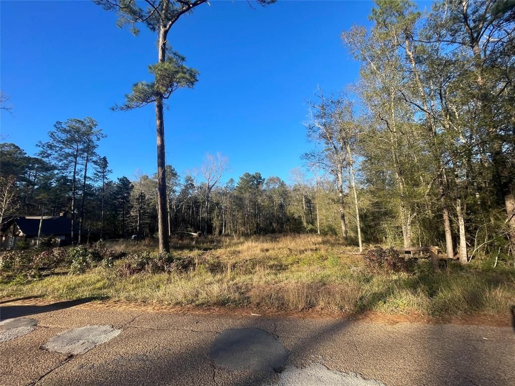 Photo of 3411 Roman Forest Blvd Blvd, New Caney, TX 77365 (MLS # 83648645)