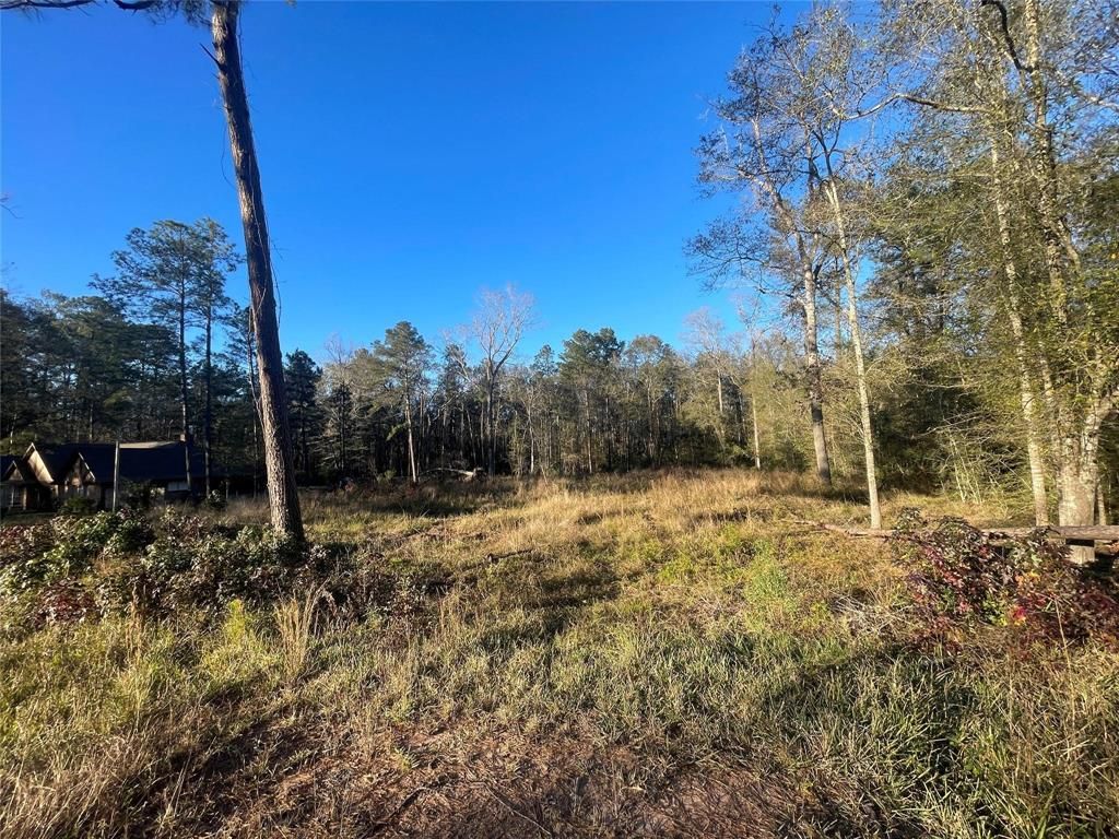 Photo of 3411 Roman Forest Blvd Blvd, New Caney, TX 77365 (MLS # 83648645)