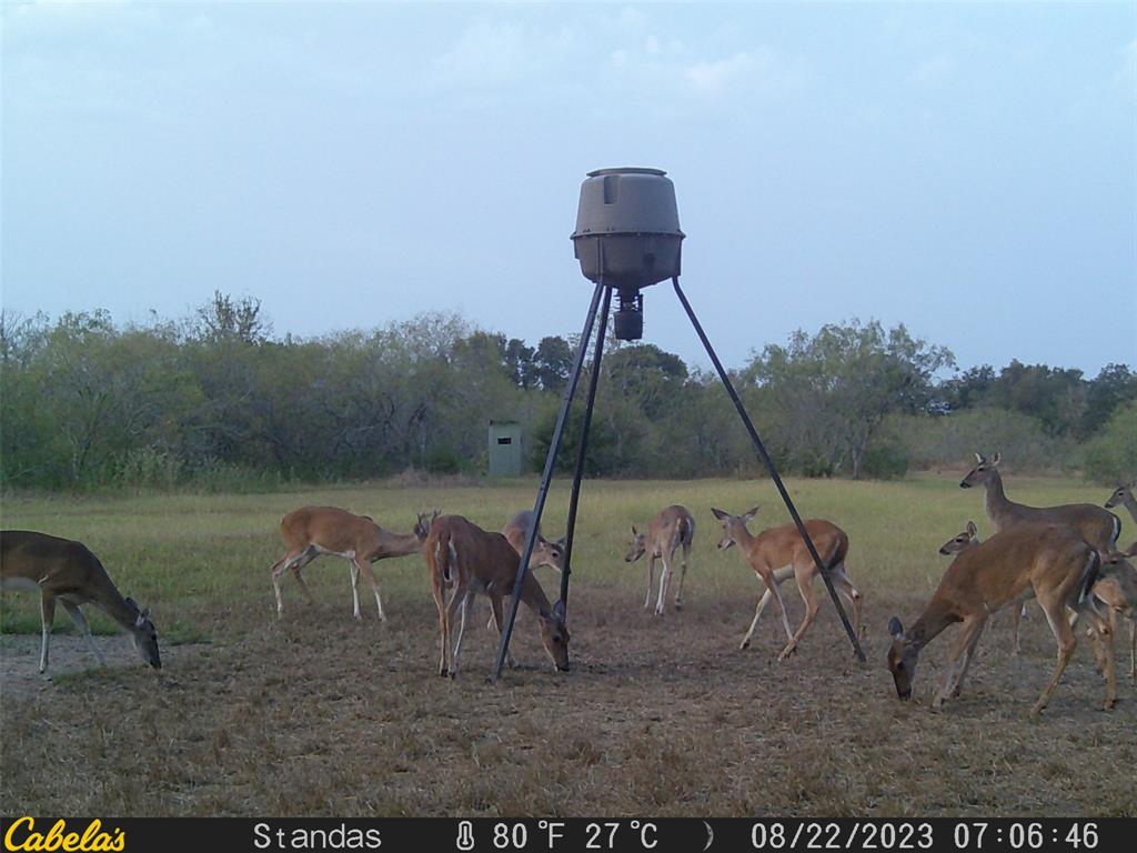 6289 Maynard Hallmark Road, Waelder, Texas image 12