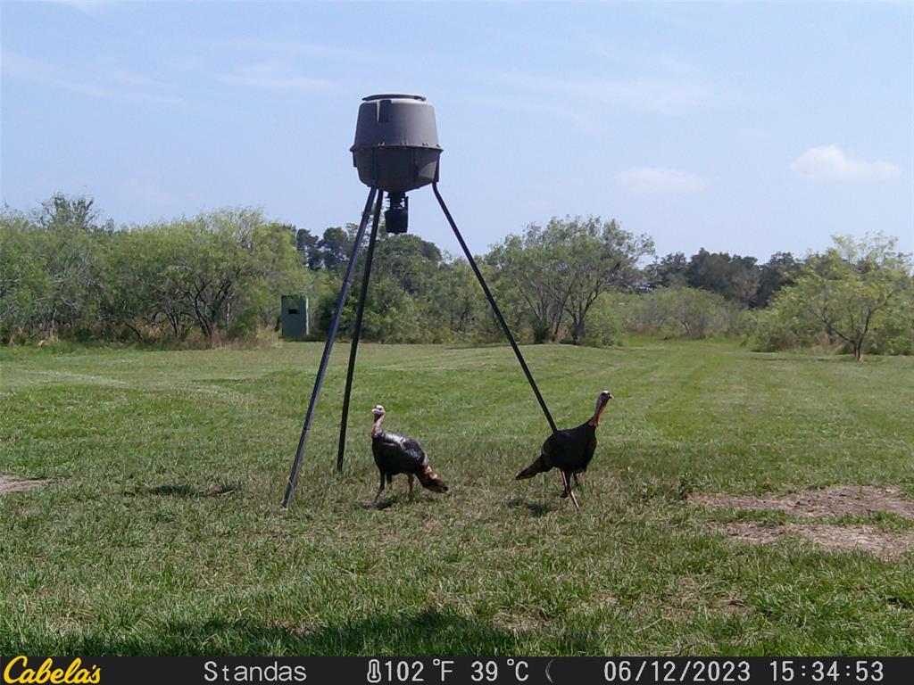 6289 Maynard Hallmark Road, Waelder, Texas image 18