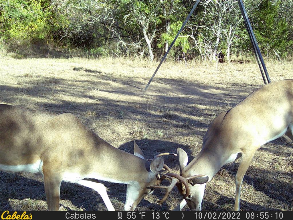 6289 Maynard Hallmark Road, Waelder, Texas image 16