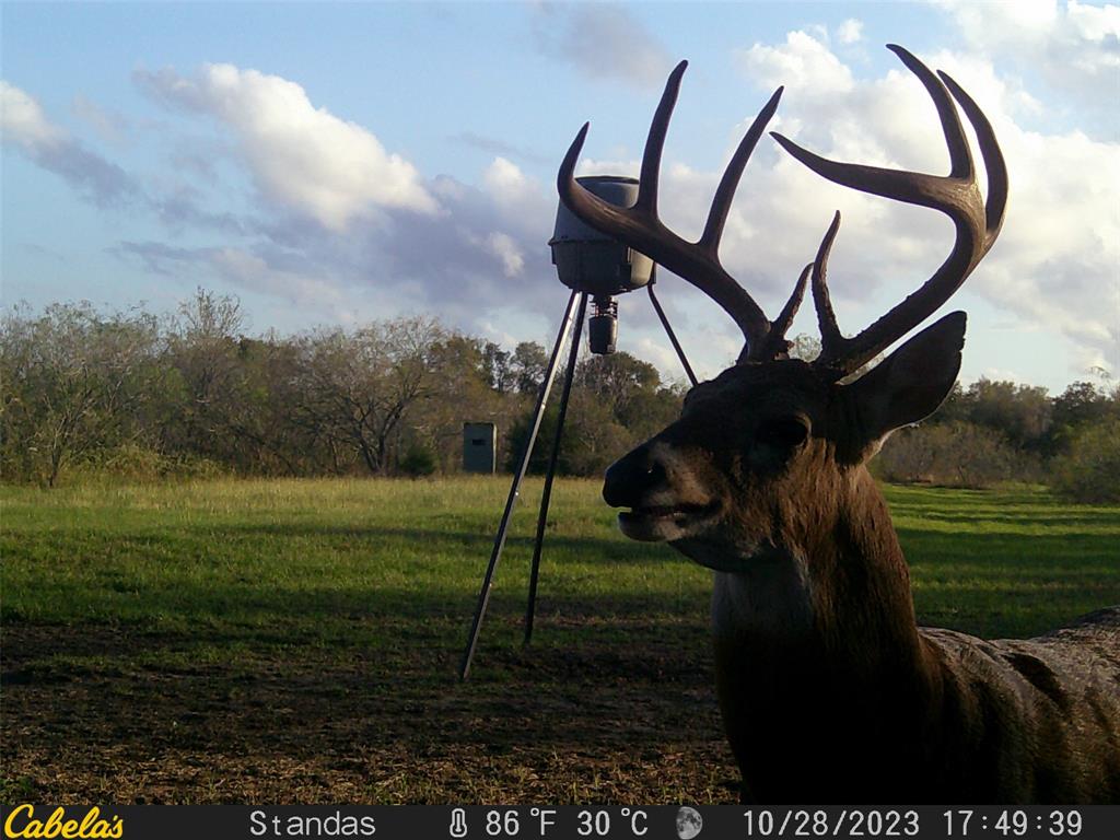 6289 Maynard Hallmark Road, Waelder, Texas image 13